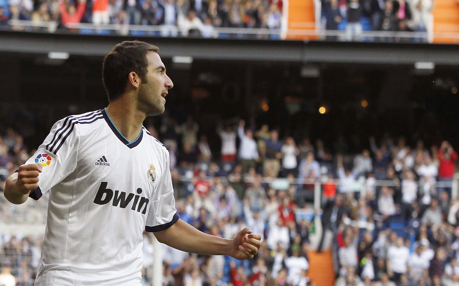 “美洲狮队进入决赛,阿根廷橄榄球迎来新纪元”